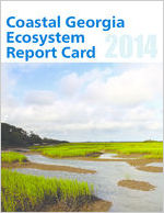 Coastal Georgia ecosystem report card 2014