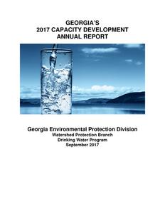 Georgia's 2017 capacity development annual report