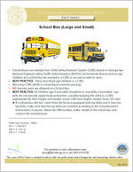 School bus (large and small) [May 2012]