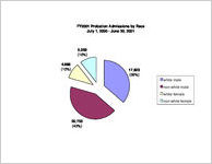 Probationer statistical profile, probationers start during FY 2001