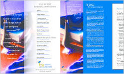 Annual report 2007