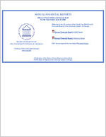 Annual financial report, fiscal year 2006