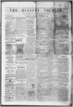 The Ellijay courier, 1882 November 2