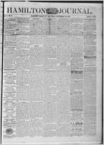 Hamilton journal, 1878 November 22