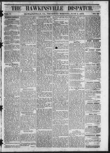 The Hawkinsville dispatch, 1873 June 5