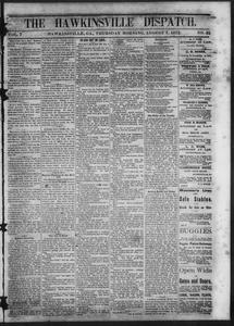The Hawkinsville dispatch, 1873 August 7