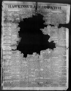 The Hawkinsville dispatch, 1876 January 13