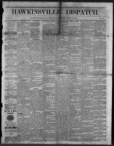 The Hawkinsville dispatch, 1876 May 11