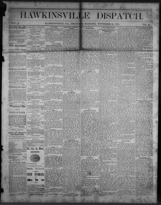 The Hawkinsville dispatch, 1876 November 16