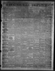 The Hawkinsville dispatch, 1877 June 21