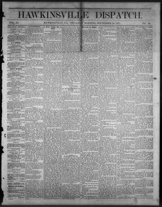 The Hawkinsville dispatch, 1877 September 20