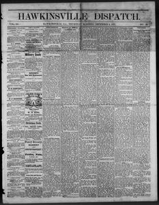 The Hawkinsville dispatch, 1877 December 6