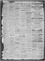 The Quitman banner, 1867 June 14
