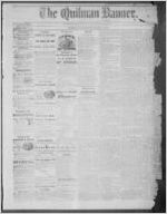 The Quitman banner, 1873 June 19