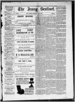The Jesup sentinel, 1877 May 2