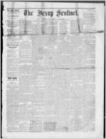 The Jesup sentinel, 1877 November 7