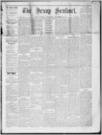 The Jesup sentinel, 1877 November 14