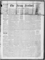 The Jesup sentinel, 1878 January 30