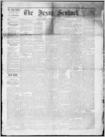 The Jesup sentinel, 1878 May 29