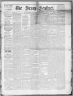 The Jesup sentinel, 1878 June 12