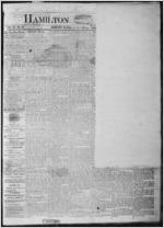 Hamilton visitor, 1875 December 17