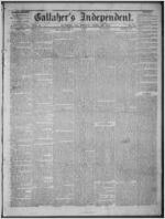 Gallaher's independent, 1875 April 30
