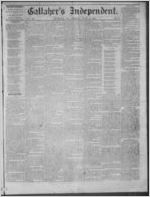 Gallaher's independent, 1875 July 2