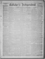 Gallaher's independent, 1875 July 30