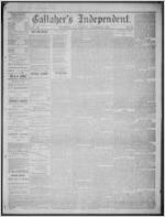 Gallaher's independent, 1875 August 20