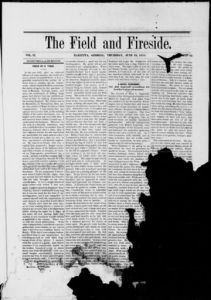 The field and fireside, 1879 June 19