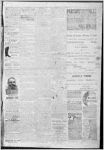 Dade County weekly times, 1884 June 11