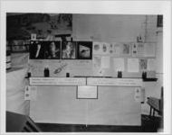 Photograph of a sweetpotato weevil exhibit at the Georgia State Fair, Macon, Bibb County, Georgia, 1950