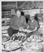 Photograph of prize-winning sweet potatoes at the Georgia State Fair, Macon, Bibb County, Georgia, 1950