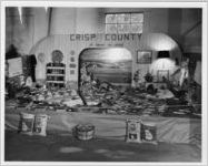 Photograph of the Crisp County exhibit at the Georgia State Fair, Macon, Bibb County, Georgia, 1952