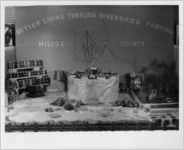 Photograph of the Wilcox County exhibit at the Georgia State Fair, Macon, Bibb County, Georgia, 1957