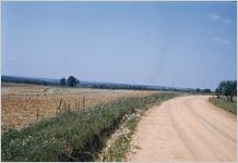 Farm road (Calhoun, Ga.)