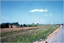 Field (rural Ga.)