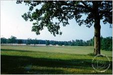 Vegetable farm (Berry College)