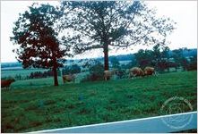 Pasture (Berry College)
