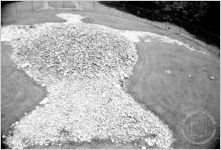 Rock Eagle (near Eatonton, Ga.)