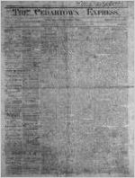 Cedartown Express, Nov. 14, 1878