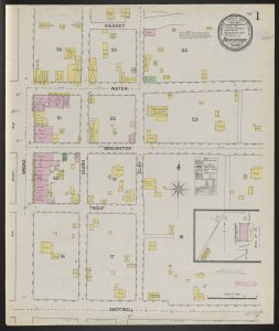 Bainbridge, Decatur Co., Ga., May 1890 / Sanborn-Perris Map Co., Limited