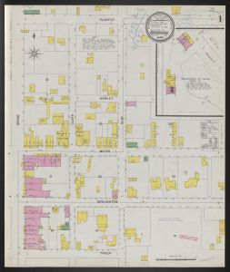 Bainbridge, Decatur Co. Ga., July 1898 / Sanborn-Perris Map Co., Limited