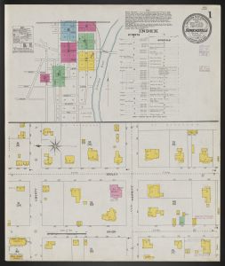 Hawkinsville, Pulaski Co., Georgia, February 1906 / Sanborn Map Company