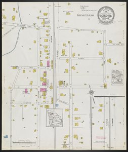 Suwanee, Gwinnett County, Georgia, August 1923 / Sanborn Map Company