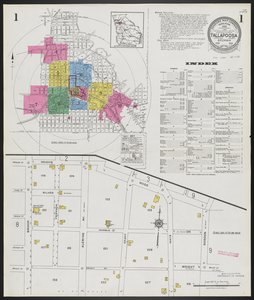 Tallapoosa, Haralson County, Georgia, June 1923 / Sanborn Map Company