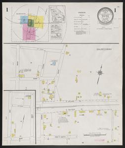 Ty Ty, Tift County, Georgia, March 1924 / Sanborn Map Company