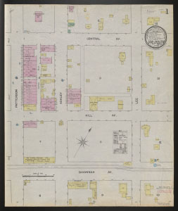 Valdosta, Ga., Apr. 1889 / Sanborn Map & Publishing Co., Limited