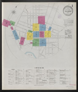 Valdosta, Lowndes Co, Georgia, July 1905 / Sanborn Map Company