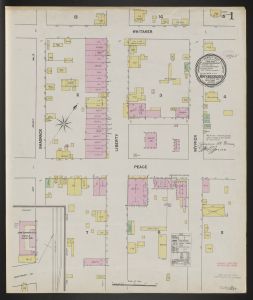 Waynesboro, McIntosh Co., Ga., May 1890 / Sanborn-Perris Map Co., Limited
